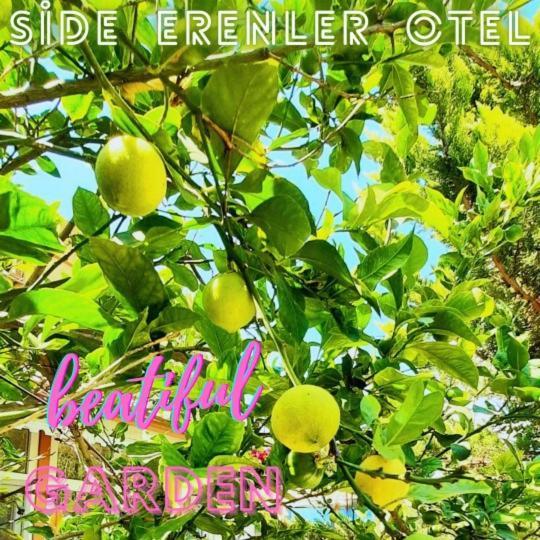 Side Erenler Hotel Exterior foto